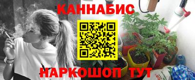 СК Новозыбков