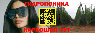 СК Новозыбков