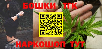 СК Новозыбков
