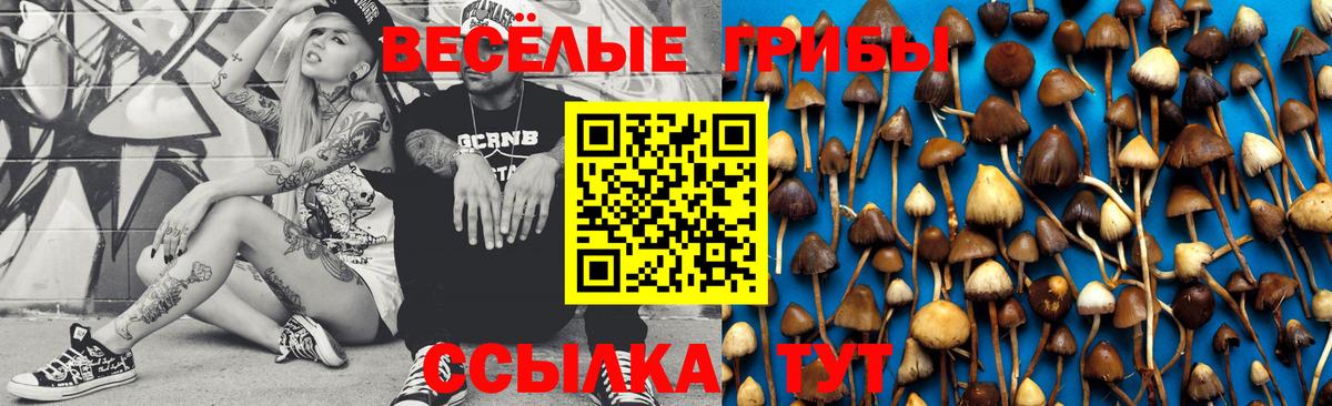 Галлюциногенные грибы Psilocybe  Вход с VPN  Советский  Галлюциногенные грибы мицелий 
